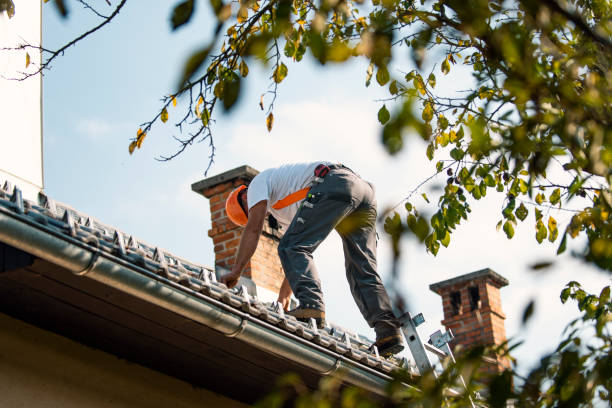 Best Roof Maintenance Services  in Skagway, AK