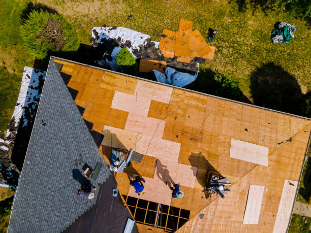 Best Roof Waterproofing Services  in Skagway, AK