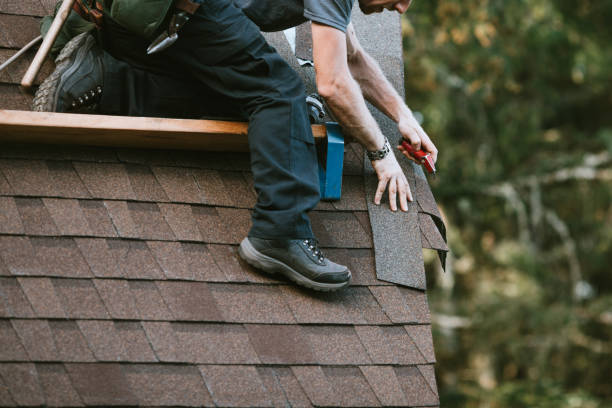 Best Gutter Installation and Roofing  in Skagway, AK